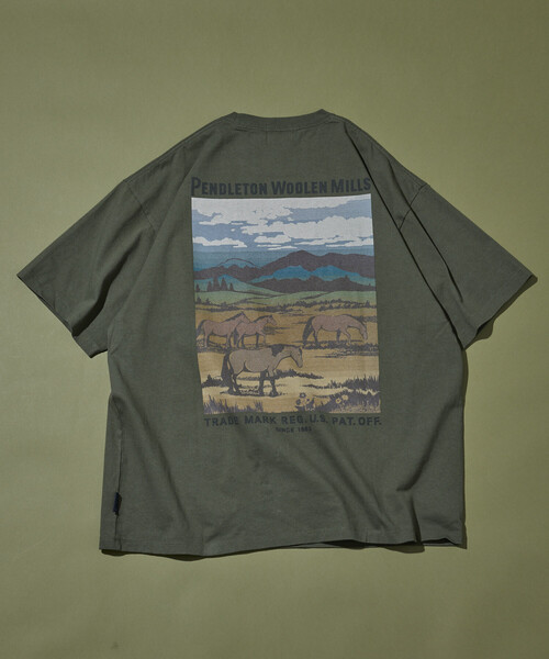 PENDLETON（ペンドルトン）の「PENDLETON/ペンドルトン 別注 ヴィンテージブランケット デザイン バックプリントTシャツ（Tシャツ/カットソー・メンズ・ブラック/オフホワイト/オリーブ・MEDIUM/LARGE）」の15枚目の写真