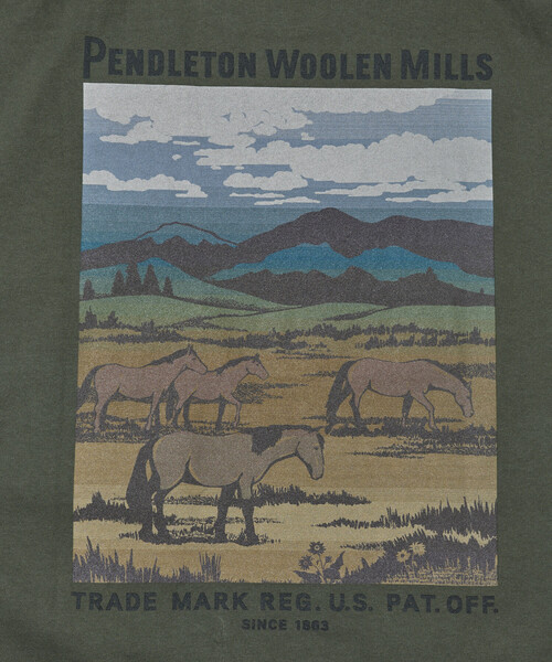 PENDLETON（ペンドルトン）の「PENDLETON/ペンドルトン 別注 ヴィンテージブランケット デザイン バックプリントTシャツ（Tシャツ/カットソー・メンズ・ブラック/オフホワイト/オリーブ・MEDIUM/LARGE）」の13枚目の写真