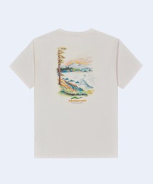 【PICTURE/ピクチャー】D&S TOFINO TEE バックプリント オーガニックコットン100% Tシャツ