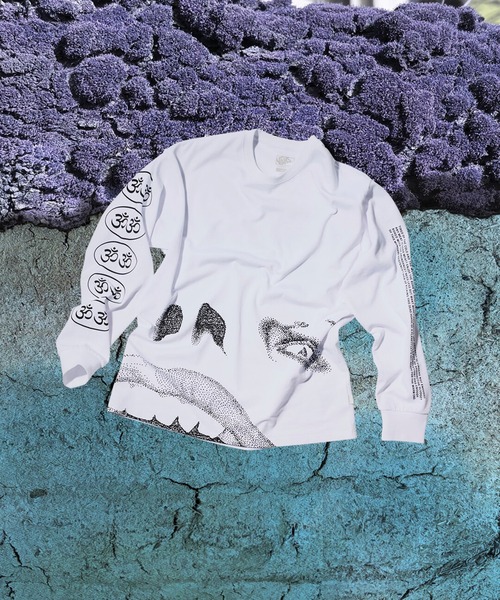 VANS（バンズ）の「ED DAVIS Tシャツ / ED DAVIS LS TEE BLANC DE BLANC VN000VT2JVY1（Tシャツ/カットソー・メンズ・ホワイト・XX-LARGE/X-LARGE/LARGE/MEDIUM/SMALL）」の13枚目の写真