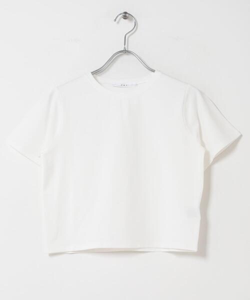 KBF（ケイビーエフ）の「BASICクロップドTEE（Tシャツ/カットソー・レディース・オフホワイト/ライトブルー/チャコールグレー・ONE）」の11枚目の写真