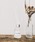 GLOBAL FORME CONCRETE�i�O���[�o���t�H�����R���N���[�g�j�́umoumou Reed Diffuser�@���[���[ ���[�h�f�B�t���[�U�[�i���[���t���O�����X/�����j�v�b���̑�3