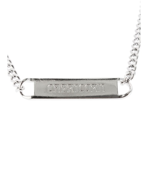 PAMEO POSE（パメオポーズ）の「Capricorn Plate Choker