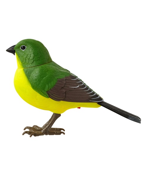 Francfranc（フランフラン）の「人感ミュージックバード クリップ グリーン（おもちゃ・レディース・グリーン・FREE）」の3枚目の写真