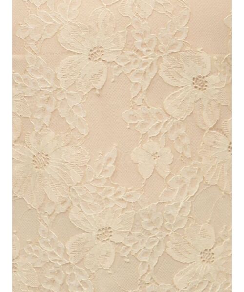 MERCURYDUO（マーキュリーデュオ）の「2WAYカップ付レースベアインナー（チューブトップ・レディース・ブラック/ベージュ/オフホワイト・FREE）」の5枚目の写真