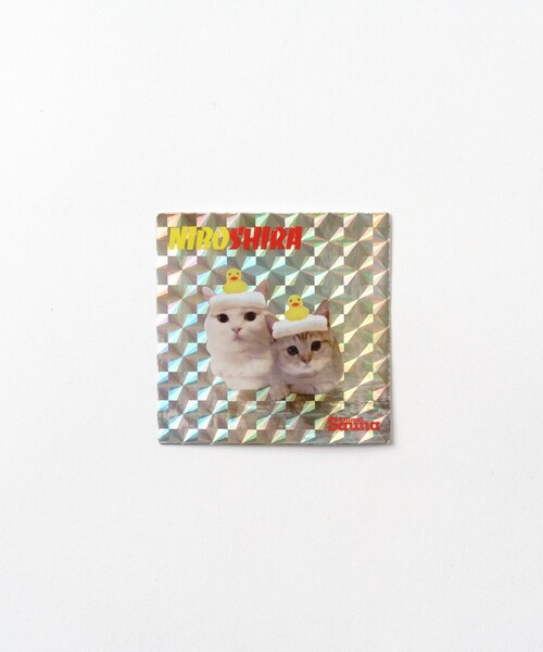 FREAK'S STORE(フリークスストア)の「SAUVENIR/サウベニア SAUVENIR×にぼしら/別注 SAUVENIR NIBOSHI ショートスリーブ フロントプリントTシャツ/にぼし(Tシャツ/カットソー・メンズ・グレー/ブラック/ホワイト・SMALL/MEDIUM/LARGE)」の6枚目の写真
