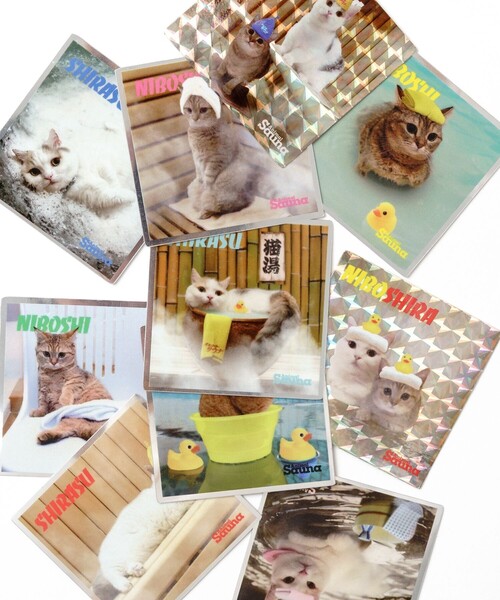 FREAK'S STORE(フリークスストア)の「SAUVENIR/サウベニア SAUVENIR×にぼしら/別注 SAUVENIR NIBOSHI ショートスリーブ フロントプリントTシャツ/にぼし(Tシャツ/カットソー・メンズ・グレー/ブラック/ホワイト・SMALL/MEDIUM/LARGE)」の18枚目の写真