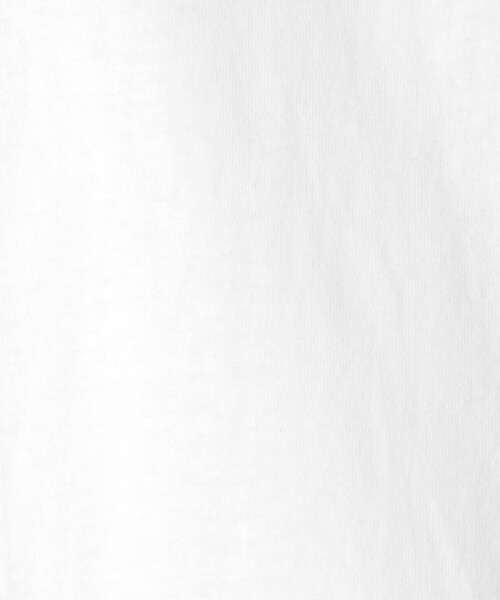 Russell Athletic(ラッセルアスレティック)の「【別注】<RUSSELL ATHLETIC>プリント リンガー Tシャツ 100cm-130cm(Tシャツ/カットソー・キッズ・ライトブルー/ネイビー/ホワイト・120cm/130cm/110cm/100cm)」の13枚目の写真