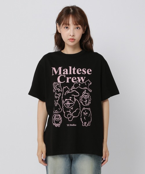 WaiKei(ワイケイ)の「【UNISEX】Wai Kei/マルチーズクルーラインT(Tシャツ/カットソー・レディース・ホワイト/ライトグレー/ブラック/ネイビー・LARGE/MEDIUM/X-LARGE)」の5枚目の写真