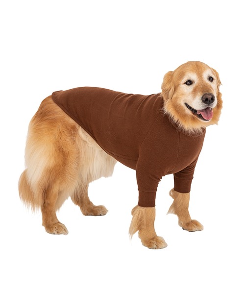 スキンタイトウォームTシャツ/中型犬・大型犬（ペットウェア