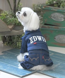 EDWIN(GhEB)EDWIN/fjCNZbgAbv(ybgEFA)