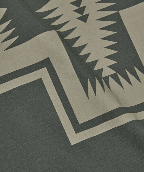 PENDLETON（ペンドルトン）の「PENDLETON/ペンドルトン 別注 バックプリント クルーネックTシャツ（Tシャツ/カットソー・メンズ・ブラック/オフホワイト/オリーブ・SMALL/MEDIUM/LARGE）」の19枚目の写真