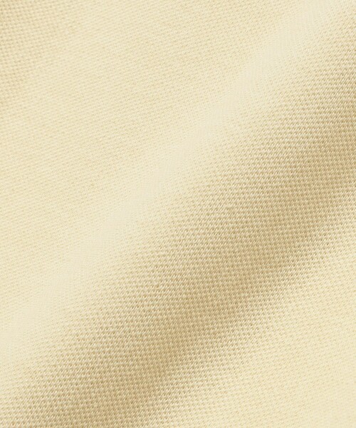 BEAMS PLUS(ビームスプラス)の「【別注】Munsingwear / Golf Polo Shirt(ポロシャツ・メンズ・ベージュ/イエロー系その他5/ブルー/レッド・LARGE/SMALL/MEDIUM)」の18枚目の写真