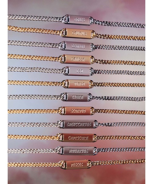 PAMEO POSE（パメオポーズ）の「Aquarius Plate Choker（ネックレス・レディース・シルバー/ゴールド・FREE）」の8枚目の写真