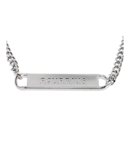 PAMEO POSE（パメオポーズ）の「Aquarius Plate Choker