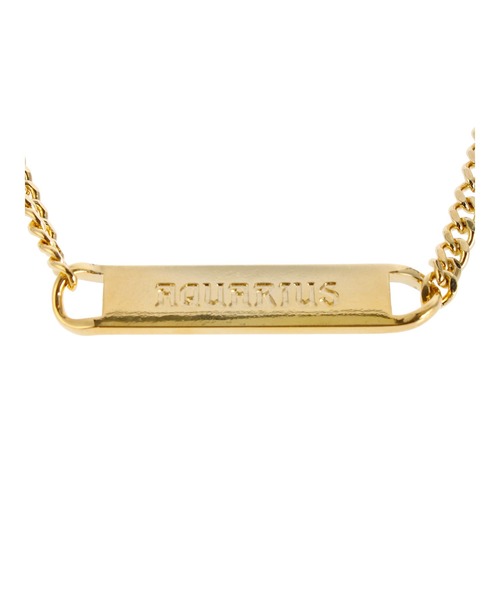 PAMEO POSE（パメオポーズ）の「Aquarius Plate Choker（ネックレス・レディース・シルバー/ゴールド・FREE）」の10枚目の写真