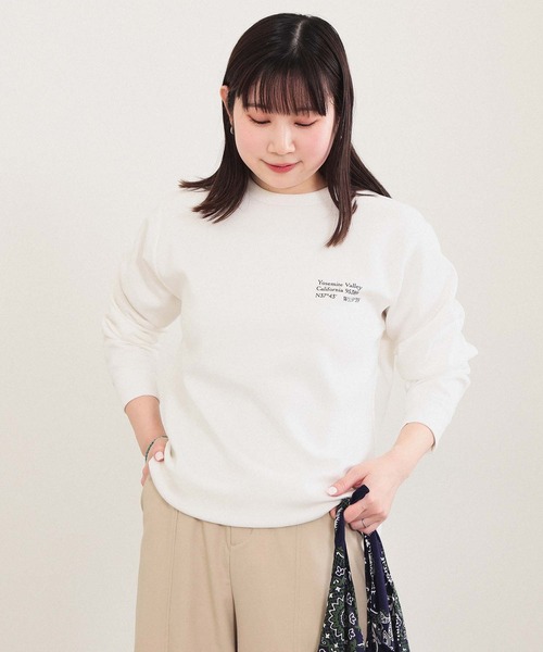 BEAMS HEART（ビームスハート）の「【ユニセックス】ダンボール ロゴ プリント ロングスリーブ カットソー（Tシャツ/カットソー・メンズ・ベージュ/ホワイト/グリーン系その他/チャコールグレー・SMALL/LARGE/MEDIUM）」の11枚目の写真