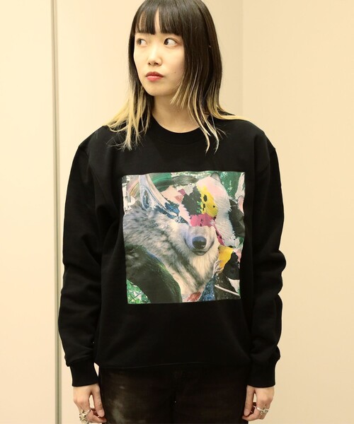 TOP4 東京ドーム　キヨスウェット　メンズ TOP4 OFFICIAL GOODS STORE/TOPページ