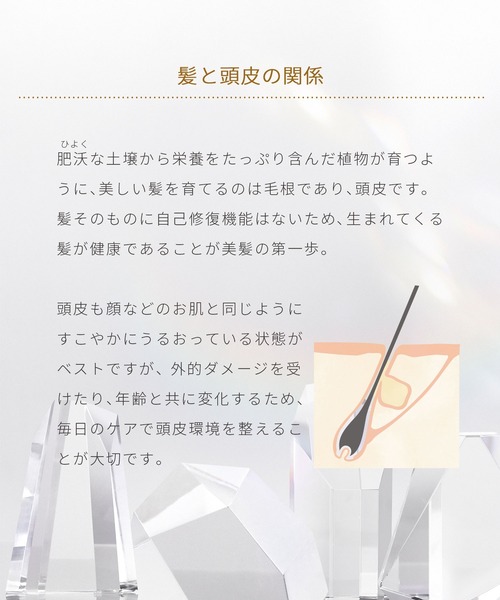 ハウス オブ ローゼ（ハウス オブ ローゼ）の「ハウスオブローゼ / バオバリッチ ダメージケア シャンプー n　300mL（シャンプー・レディース・その他・FREE）」の9枚目の写真