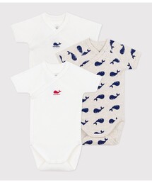 PETIT BATEAU(v`og[)̔킹{fBRg()