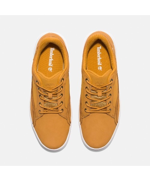 オールストン ロー スニーカー メンズ（スニーカー）｜Timberland