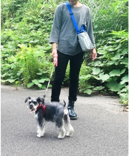 ROOTOTE（ルートート）の「ROOTOTE ルートート SN.スクエア.DOG.BUDDY-A（ショルダーバッグ・レディース・ブラック/シルバー/オレンジ/ホワイト系その他・FREE）」の6枚目の写真