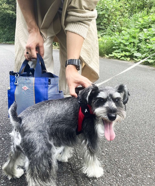 ROOTOTE（ルートート）の「ROOTOTE ルートート SN.スクエア.DOG.BUDDY-A（ショルダーバッグ・レディース・ブラック/シルバー/オレンジ/ホワイト系その他・FREE）」の7枚目の写真