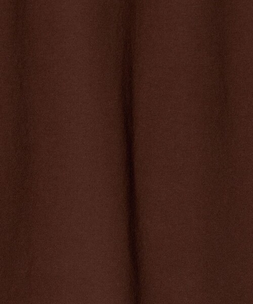 6（ロク）の「＜6(ROKU)＞バックプリント Tシャツ（Tシャツ/カットソー・レディース・ライトブルー/ダークブラウン・M/S）」の5枚目の写真