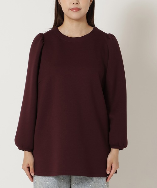 チェック切替プルオーバー（Tシャツ/カットソー）｜Rose Tiara（ローズ