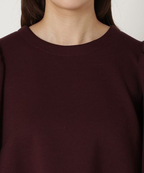 チェック切替プルオーバー（Tシャツ/カットソー）｜Rose Tiara（ローズ