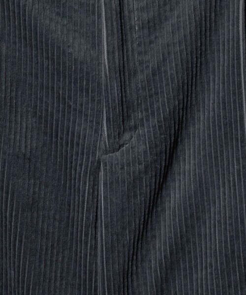 H BEAUTY&YOUTH UNITED ARROWS(エイチビューティーアンドユースユナイテッドアローズ)の「<H>コーデュロイ トラウザーズ(その他パンツ・レディース・グレー系/ダークブラウン・M/S)」の16枚目の写真