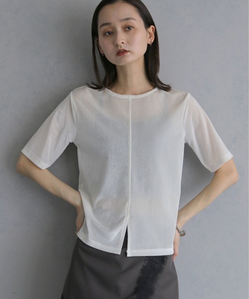 &g'aime(アンジェム)の「【&g'aime 】シアーベロアハーフスリーブトップス Sheer Velour Half-Sleeve Top(Tシャツ/カットソー・レディース・オフホワイト/ブラウン/ブラック・FREE)」の2枚目の写真