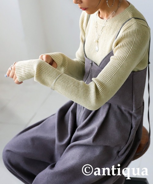 antiqua(アンティカ)の「ラメリブニット(ニット/セーター・レディース・ベージュ系その他/ブラック×シルバー/ブラック×ブルー・R/P)」の20枚目の写真