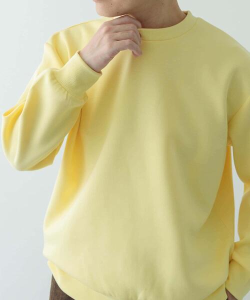ITEMS URBANRESEARCH(アイテムズ アーバンリサーチ)の「ストレッチダンボール クルーネックプルオーバー(スウェット・メンズ・ブラウン/ブラック/イエロー/ベージュ・LARGE/MEDIUM)」の9枚目の写真