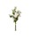 Francfrancittj́uu[P iLX~bNX CgsNiCeAG݁jvbCgsN