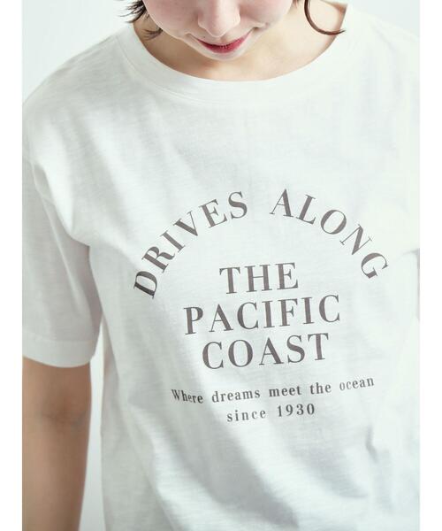 SM2（エスエムツー）の「スラブロゴプリントアソートTシャツ（Tシャツ/カットソー・レディース・ブラック/オレンジ/オフホワイト/グレー・F）」の17枚目の写真