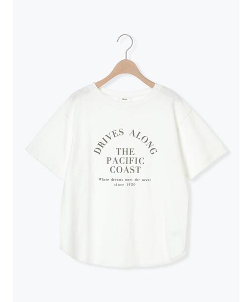 SM2（エスエムツー）の「スラブロゴプリントアソートTシャツ（Tシャツ/カットソー・レディース・ブラック/オレンジ/オフホワイト/グレー・F）」の6枚目の写真