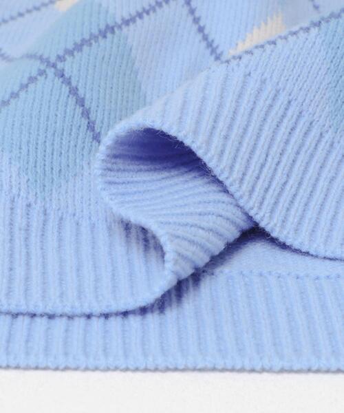 ITEMS URBANRESEARCH(アイテムズ アーバンリサーチ)の「ウール混アーガイルVネックニットベスト(ベスト・メンズ・ブルー/ブラック・LARGE/MEDIUM)」の8枚目の写真