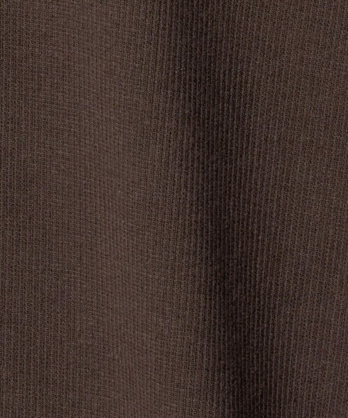 A DAY IN THE LIFE UNITED ARROWS(アデイインザライフユナイテッドアローズ)の「リブ フェイクレイヤード ヘンリーネックTシャツ <A DAY IN THE LIFE>(Tシャツ/カットソー・レディース・ネイビー/ライトグレー/ダークブラウン・FREE)」の22枚目の写真
