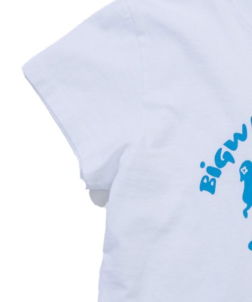 BIGWAVE COLLECTIVE(ビッグウェーブコレクティブ)の「BIGWAVE COLLECTIVE CROPPED T-SHIRT (WHITE)(Tシャツ/カットソー・レディース・その他・FREE)」の6枚目の写真