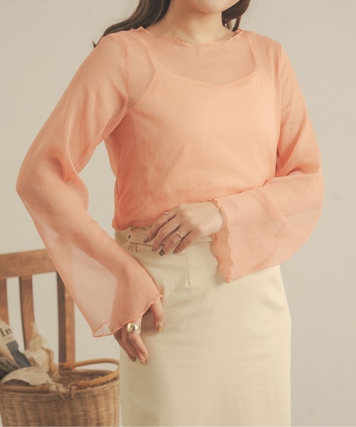 Ambre Neige(アンブルネージュ)の「【セットアイテム】キャミ付きシアーブラウス/WEB/EC限定商品(シャツ/ブラウス・レディース・アイボリー/ブラック/モカ/ピンク/ダークブラウン・FREE)」の5枚目の写真