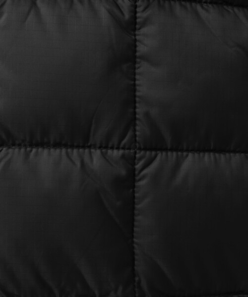 【セール】【TAION/タイオン】マウンテン クルーネック ライトダウンジャケット 24AW（ダウンジャケット/コート）｜TAION（タイオン）