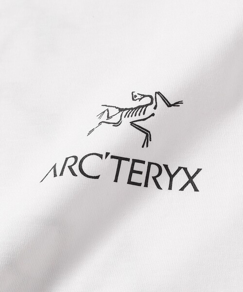 ARC'TERYX(アークテリクス)の「ARC’TERYX / Kragg SL Cotton Bird Word SS(Tシャツ/カットソー・メンズ・ブラック/ネイビー/レッド/ホワイト・SMALL/LARGE/X-LARGE/MEDIUM)」の7枚目の写真
