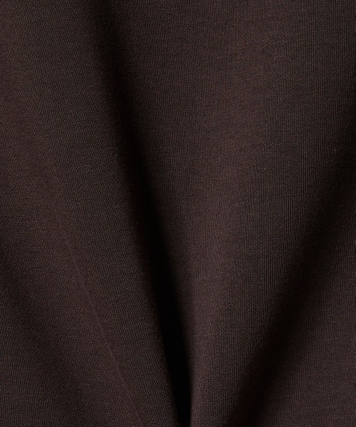 DOUBLE STANDARD CLOTHING（ダブルスタンダードクロージング）の「チュールドッキングワンピース（ワンピース・レディース・ブラック/ブラウン・FREE）」の11枚目の写真