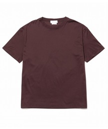 SOLID ALBERTO【ONLY T】