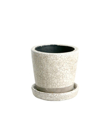 DULTON(�_���g��)��COLOR GLAZED POT/3.5�� �A�ؔ�(�t�����[�x�[�X)