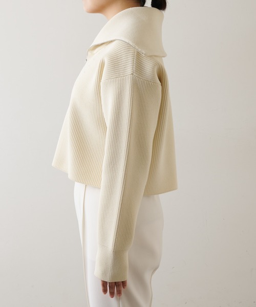 Whim Gazette（ウィムガゼット）の「【THE PAUSE】ビッグカラーハーフジッププルオーバー（ニット/セーター・レディース・ネイビー/アイボリー・FREE）」の17枚目の写真