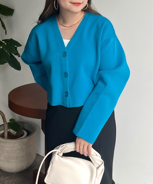 prose verse（プロズヴェール）の「スポンディッシュショートカーデ（カーディガン/ボレロ・レディース・アイボリー/ブラック/ブルー/ピンク・ﾌﾘ-）」の3枚目の写真