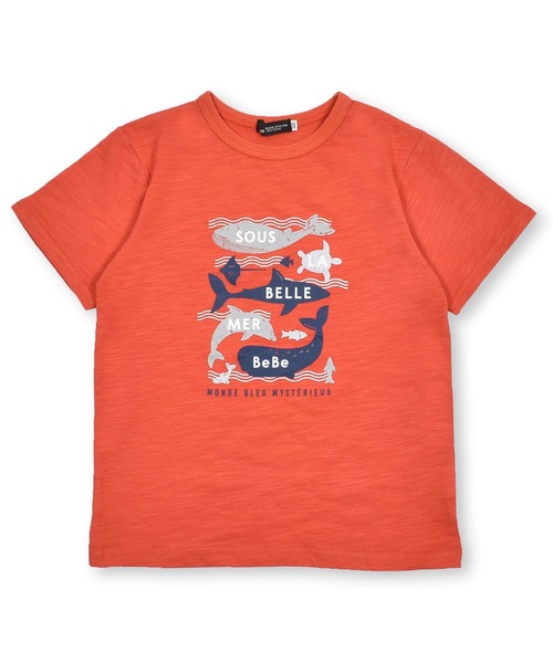 BeBe（ベベ）の「BeBe/【蓄光プリント】スラブ天竺海の生き物プリントTシャツ(80~150cm)（Tシャツ/カットソー・キッズ・オレンジ/グリーン・150/90/100/140/110/80/120/130）」の11枚目の写真