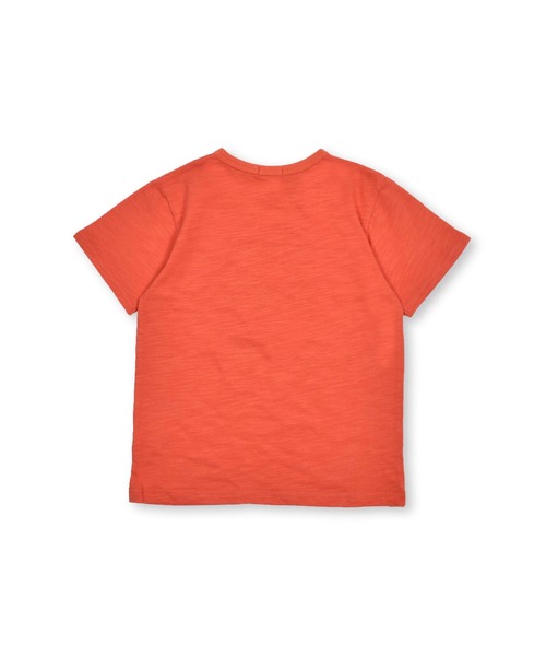 BeBe（ベベ）の「BeBe/【蓄光プリント】スラブ天竺海の生き物プリントTシャツ(80~150cm)（Tシャツ/カットソー・キッズ・オレンジ/グリーン・150/90/100/140/110/80/120/130）」の12枚目の写真